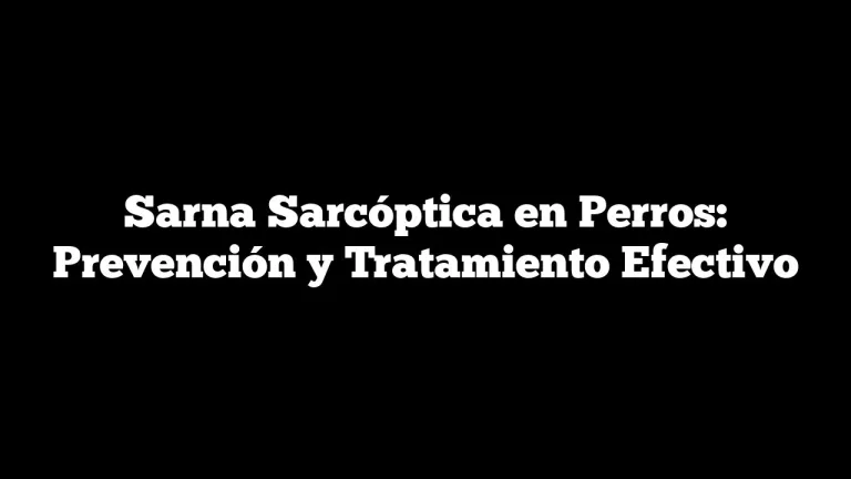 Sarna Sarcóptica En Perros: Prevención Y Tratamiento Efectivo